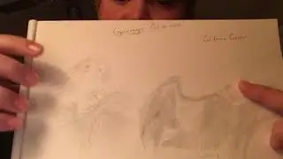 Sketching Specimens #3: The California Condor