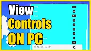 How to See Fall Guys PC Controls & Change the Buttons (Easy Method)