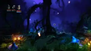 Trine Enchanted Edition #9 Терниевые заросли