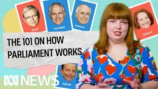 The 101 on how parliament works | Politics Explained (Easily) | ABC News