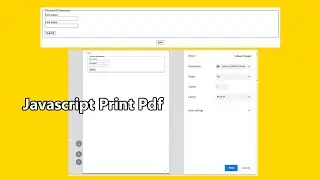 How To Make Print PDF Form javascript || HTML, CSS And Javascript