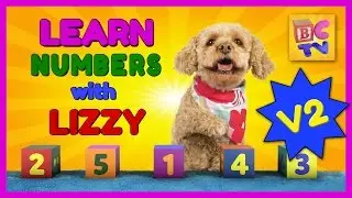 Learn Numbers with Lizzy the Dog | v2 | Learn to Count to 10 for Kids