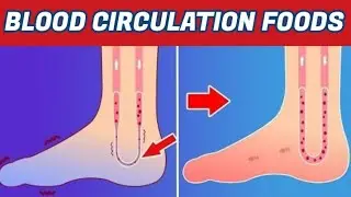 Top 10 Foods to Help Increase Blood Flow and Circulation  | Blood Circulation Foods