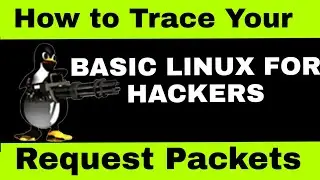 How To Trace Your Packets | Using Traceroute | Windows and Linux | Basic Commands