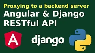 How to proxying Angular 14 to a backend server ( Django Rest API )