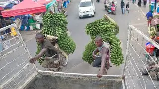 Why People in Africa Risk Their Lives Illegally Riding Behind Trucks