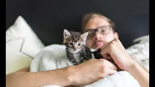 Andrew, the Kitten Dad!