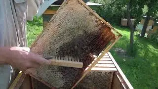 ХПП-Хозяйственно-полезные признаки,Нет воровства не строят перемычек