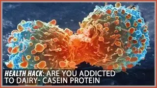 Are you Addicted to Dairy? | Casein Protein: Health Hacks- Thomas DeLauer