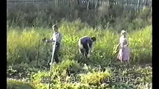 Архив 1995год. В Биянке копаем 🥔 картошку.
