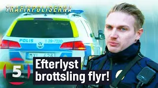 Polisen jagar efterlyst brottsling som sätter plattan i mattan! | Trafikpoliserna | Kanal 5 Sverige