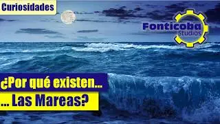 ¿Por qué Existen las Mareas? ¿Qué es la Pleamar y la Bajamar?