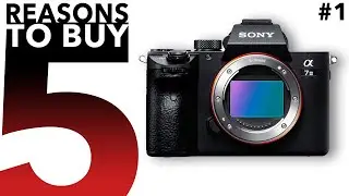 5 Reasons to Buy the Sony A7iii in 2022 #shorts