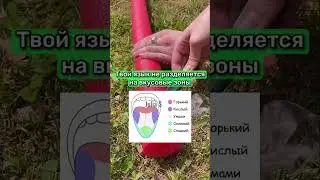 ЭТИ ФАКТЫ НЕ РАССКАЖУТ В ШКОЛЕ