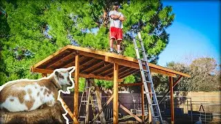 Building a GOAT BARN in our suburban backyard!