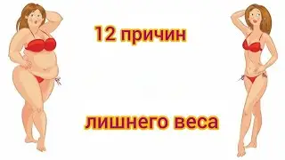 12 причин лишнего веса. Готовые решения