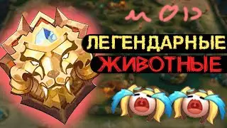 В МИРЕ ЖИВОТНЫХ ВЕЙЛ ТОП РОССИИ И ХАНАБИ ДН0 В MOBILE LEGENDS МОБАЙЛ ЛЕГЕНД