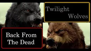 Twilight Wolves - Back from the dead