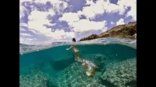 mermaid photo shoots