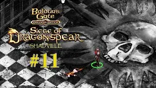Иллитид и жрица Аканна — Baldur’s Gate: Siege of Dragonspear Прохождение DLC #11