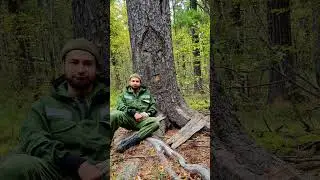 Красоты🌲😍 