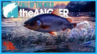 A Full BAG Of IDE Diamonds | Call of the Wild theAngler