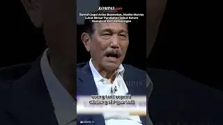 Saat Luhut Sebut AHY Kampungan