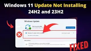 Windows 11 Update Not Installing (24H2/23H2): What to do?