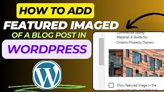 How to add featured image of a blog post in WordPress