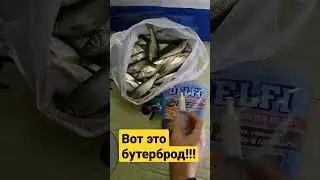 Вот это бутерброд!!!