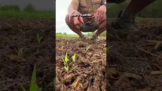 🦞 PREPPING A CRAWFISH POND PT.3 