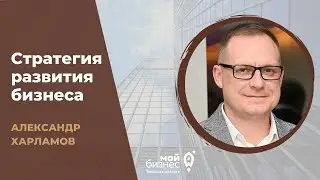 Стратегия развития бизнеса в современных условиях