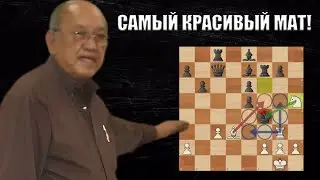 Самый Красивый Мат В Истории!
