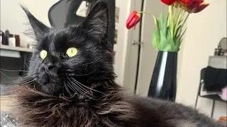 Гадаем с вами