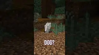 Your First Minecraft Pet