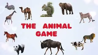 Animal Names | Safari Animals | Big Five | SafariABC | games | brain-teasing | quizzes | trivia