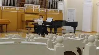 Солтан В. Элегия