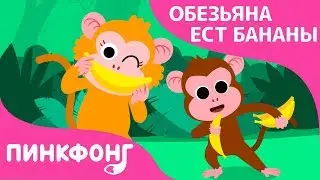 Обезьяна ест Бананы | Песни про Животных | Пинкфонг Песни для Детей