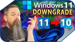 Go Back To Windows 10 From 11 After 10 Days