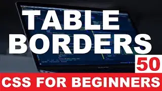 CSS Tutorial 50 : Table borders css