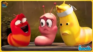 Larva Full  Episode | 1 Hour Compilation 🍟 Cartoons - Comedy - Comics 🥟 New Animation Movies 2020