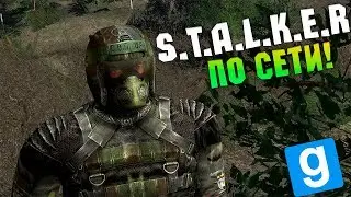 КАК ИГРАТЬ В СТАЛКЕР ПО МУЛЬТИПЛЕЕРУ? Garry's mod - ВОТ РЕШЕНИЕ