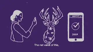 What Is an API and Why Does It Matter?
