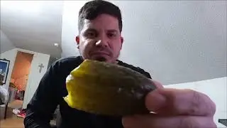 Dill pickle ASMR GoPro