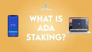 What Is ADA Staking And How Do I Do It?