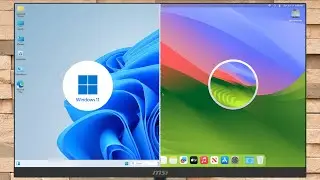 macOS Sonoma vs Windows 11 Setup