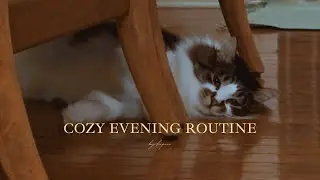 A Calm Night Time Routine 🌙