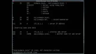 How to configure a forward dns zone using BIND software