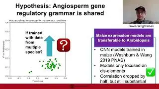 Buckler Lab - ICQG6 talk on Transferable Biology for Food and Climate