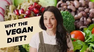 Vegan Diet for Beginners